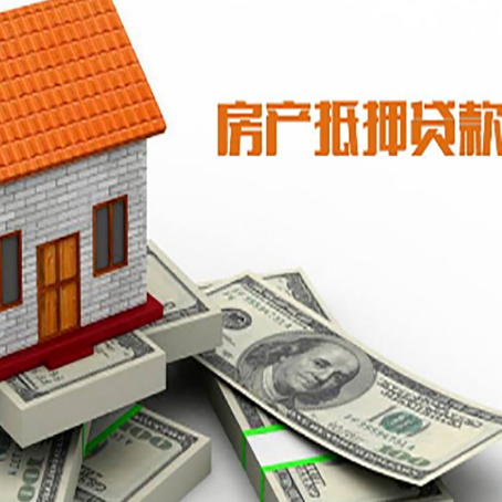 循化贷款公司新渝启服怎么选择